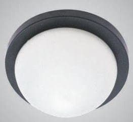 Indoor Wall Light